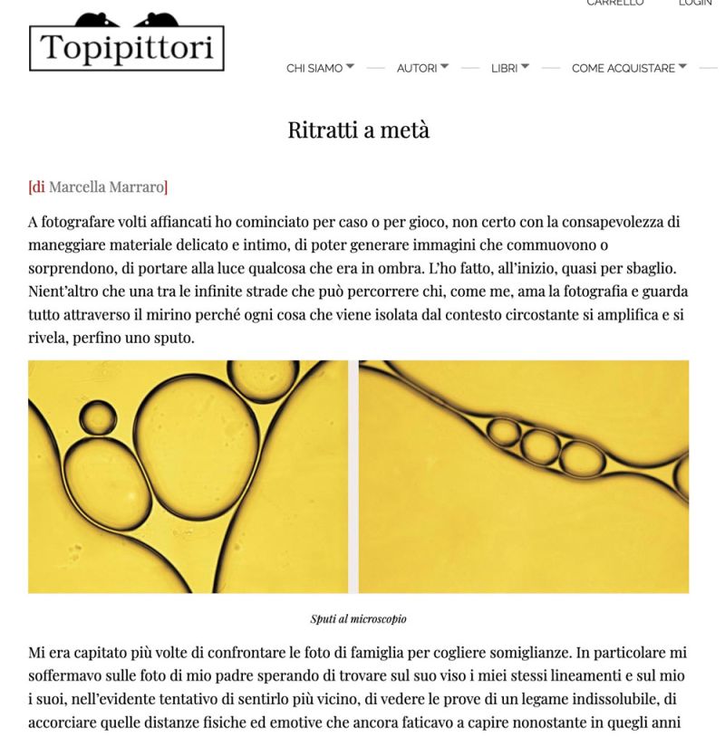 Topipittori